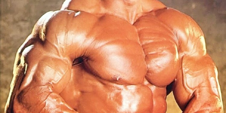 Lou Ferrigno