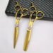 Hair Cutting Scissors