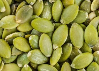 Pumpkin Seeds