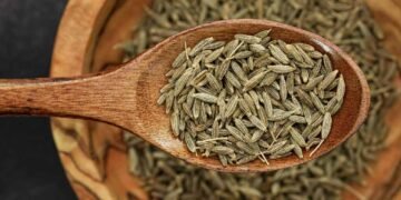 Cumin Seeds