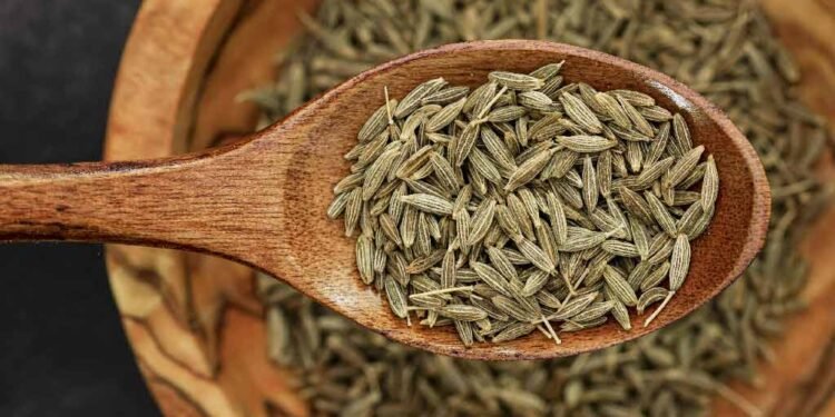 Cumin Seeds